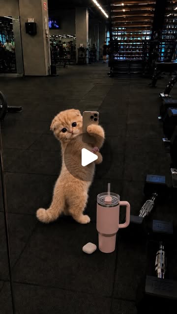 Gym-to-friendship skit